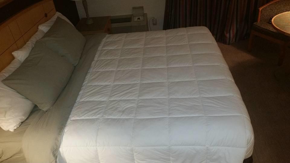 Canadas Best Value Inn Welland Buitenkant foto